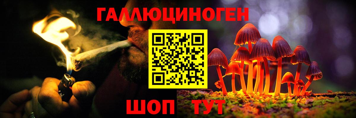 Тимашёвск  Галлюциногенные грибы мицелий  Вход с VPN 